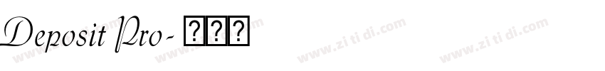 Deposit Pro字体转换